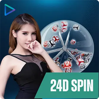24dspin